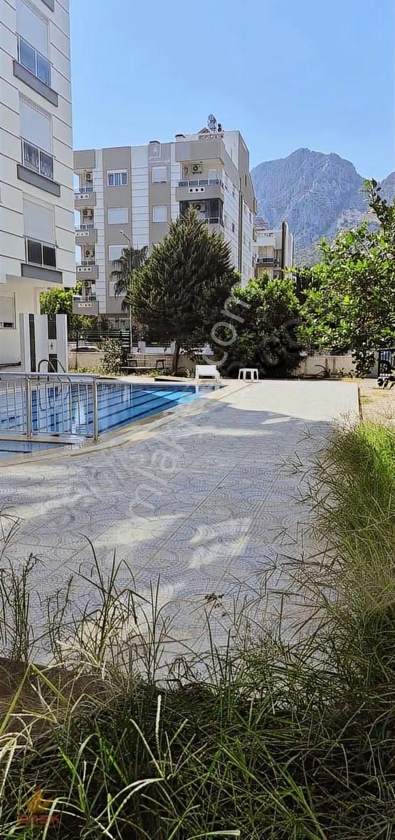 Acil Satılık Hurma 1+1 Katta - Görsel 5