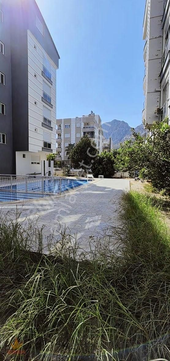 Acil Satılık Hurma 1+1 Katta - Görsel 10