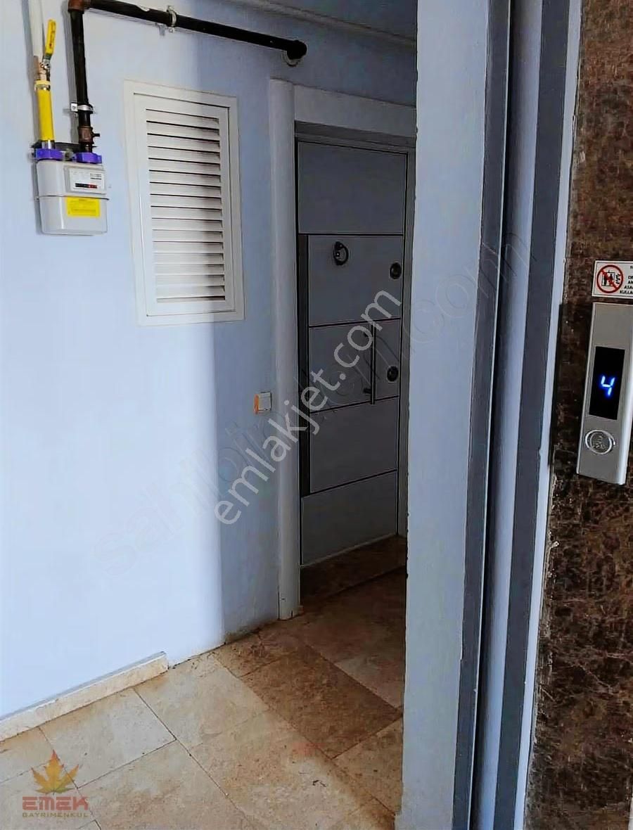 Acil Satılık Hurma 1+1 Katta - Görsel 9