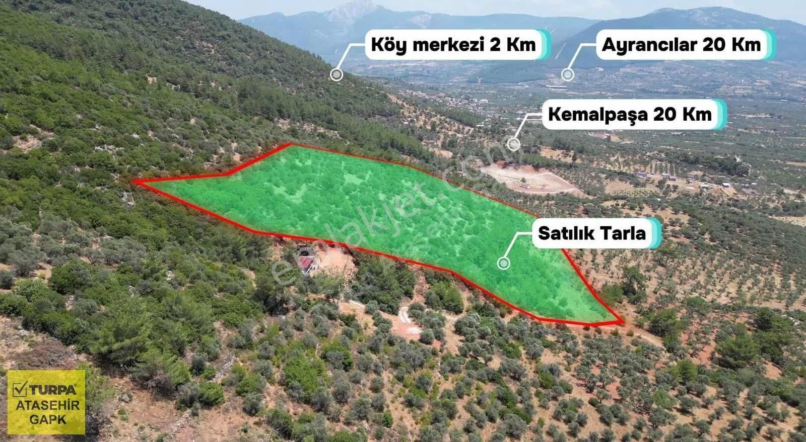 Torbalı Dağkızılca'da 19 Dönüm Zeytinlik - Görsel 7