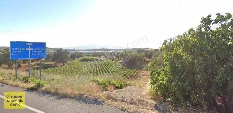 Bergama Zeytindağ'da 8855m² Zeytinlik - Görsel 3