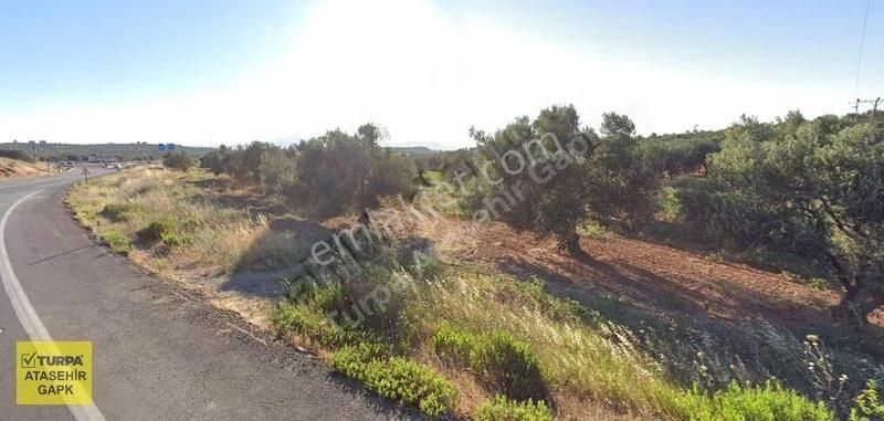 Bergama Zeytindağ'da 8855m² Zeytinlik - Görsel 4