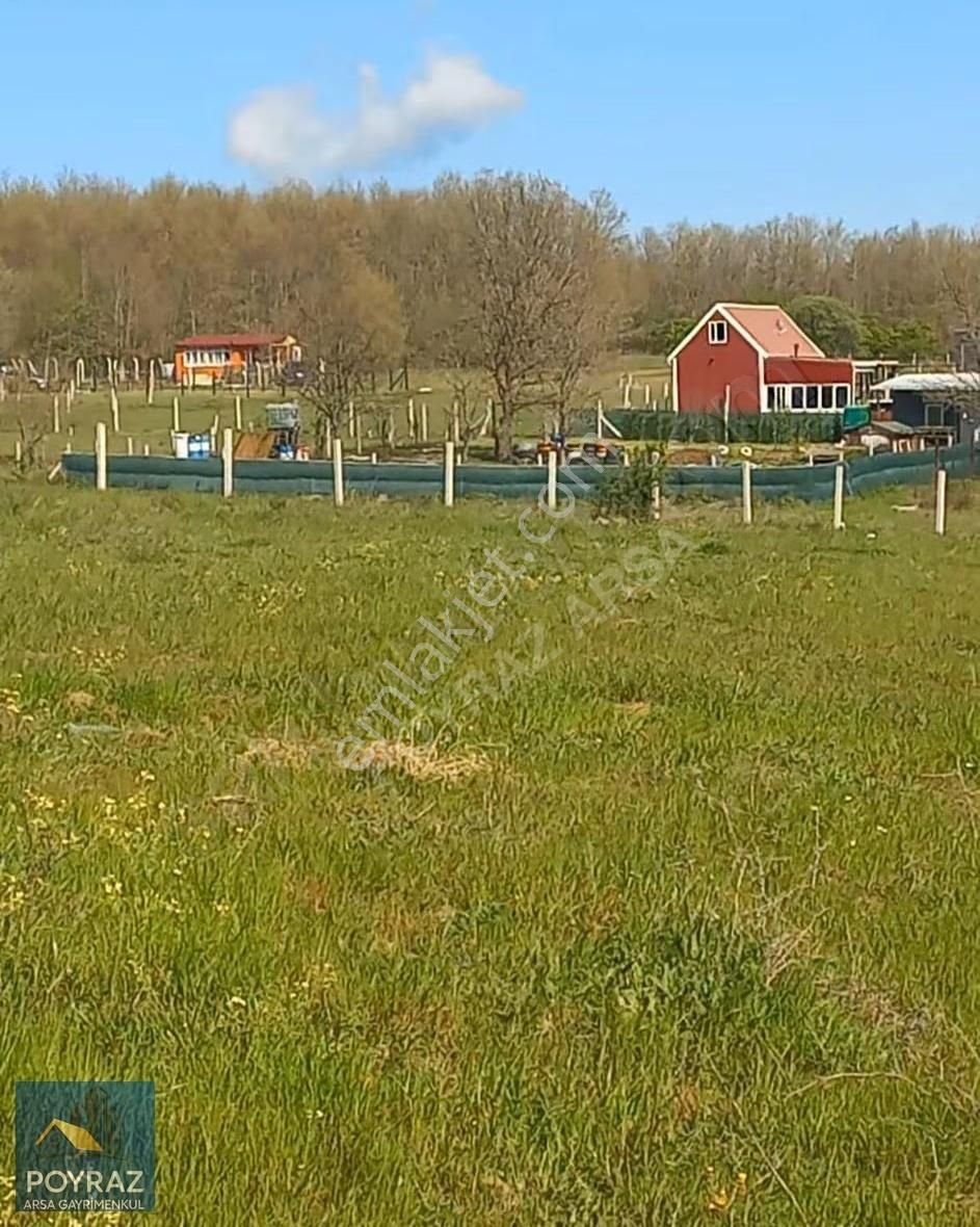 Poyrazdan Çatalca Binkılıçda 250m2 Arsa Tadında Yer - Görsel 2