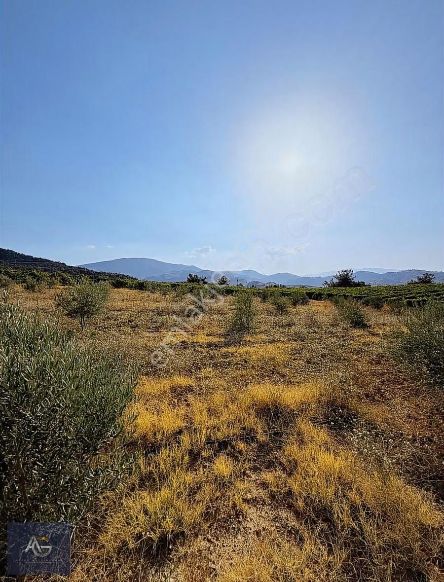 Alper Gayrimenkulden Şahyar Mah. 10.460 M2 Yenice Zeytinlik - Görsel 2