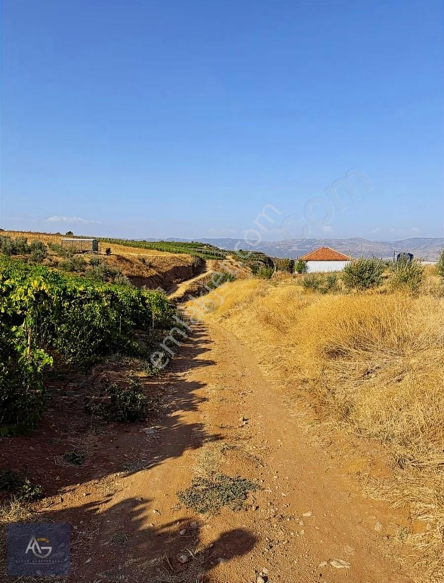 Alper Gayrimenkulden Şahyar Mah. 10.460 M2 Yenice Zeytinlik - Görsel 5
