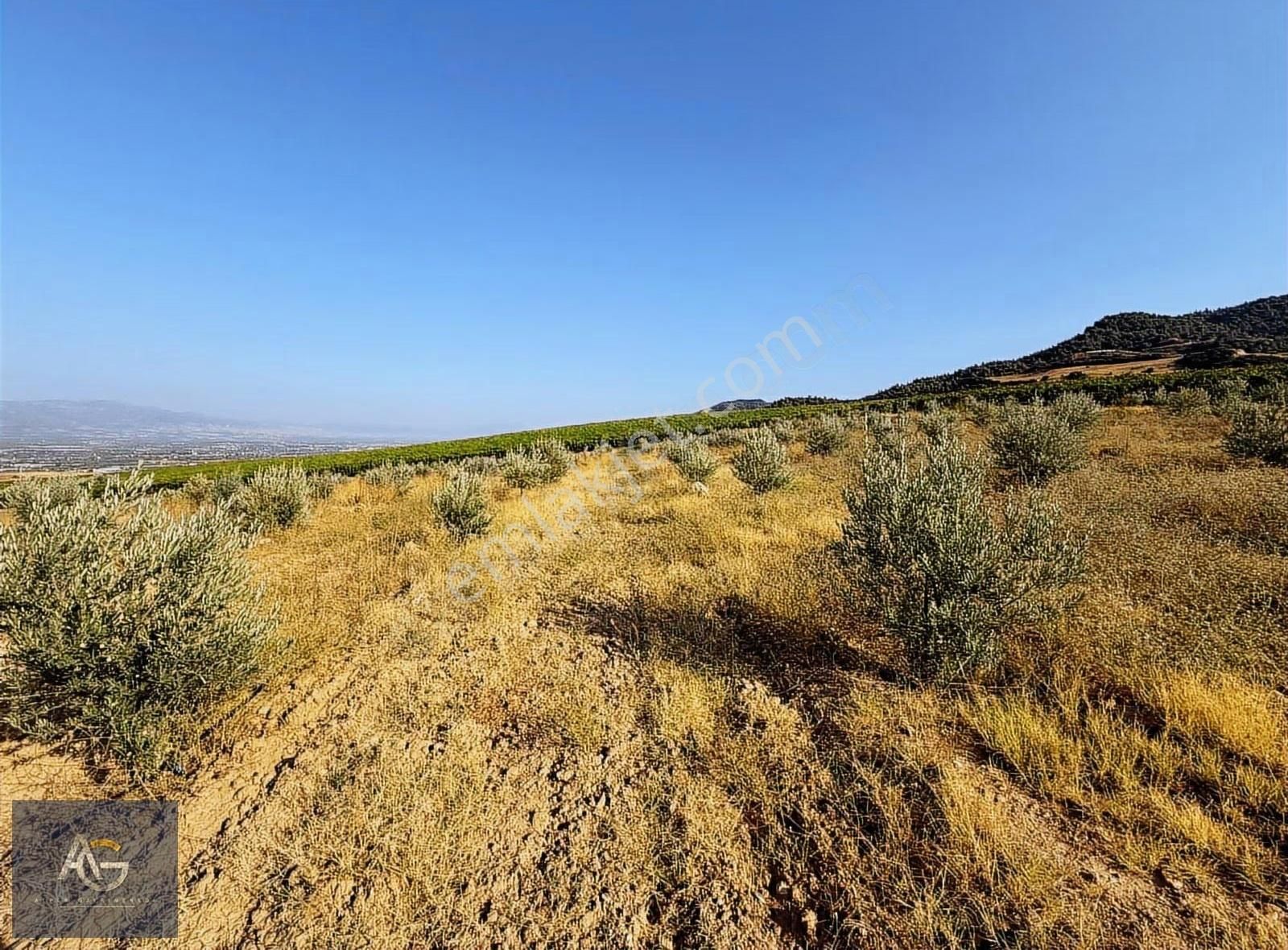 Alper Gayrimenkulden Şahyar Mah. 10.460 M2 Yenice Zeytinlik - Görsel 11