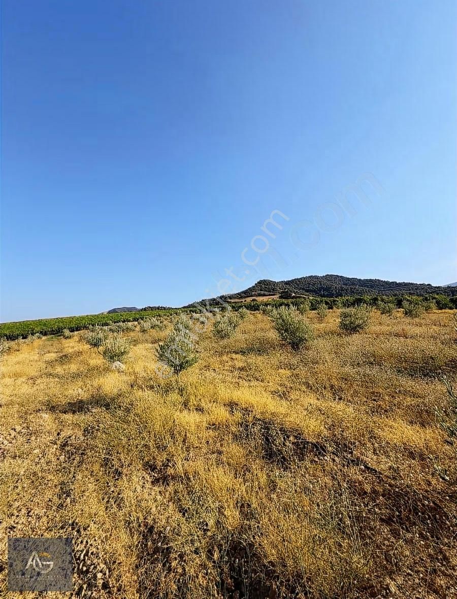 Alper Gayrimenkulden Şahyar Mah. 10.460 M2 Yenice Zeytinlik - Görsel 4