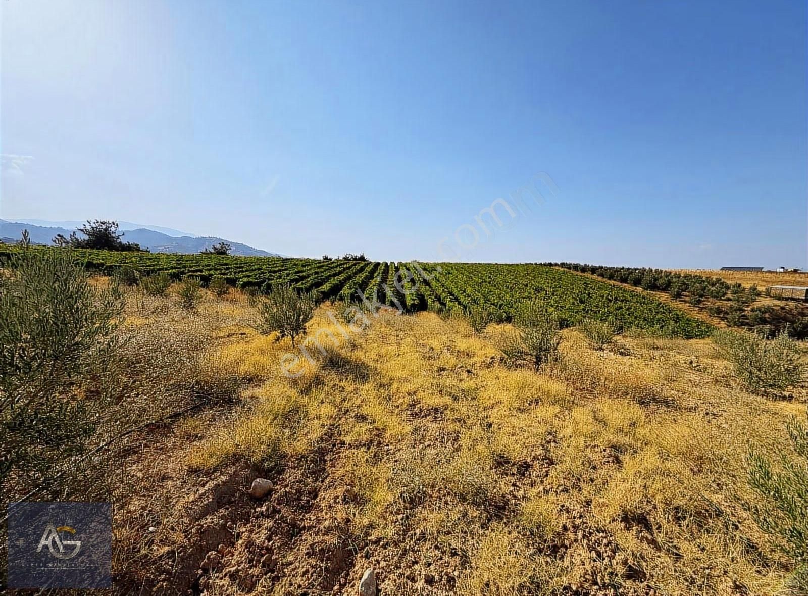 Alper Gayrimenkulden Şahyar Mah. 10.460 M2 Yenice Zeytinlik - Görsel 10