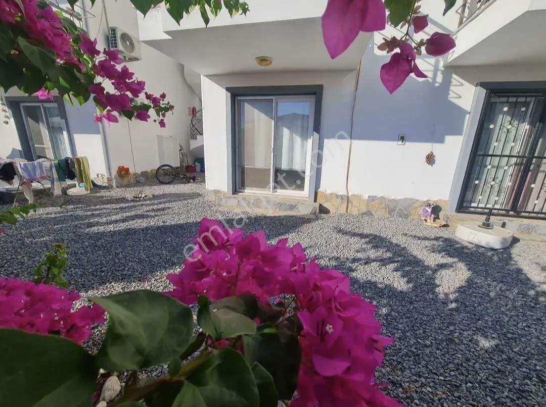 🏡aydın Didim Akbük'te Satılık Havuzlu Bahçeli Müstakil 1+1 Daire. - Görsel 2