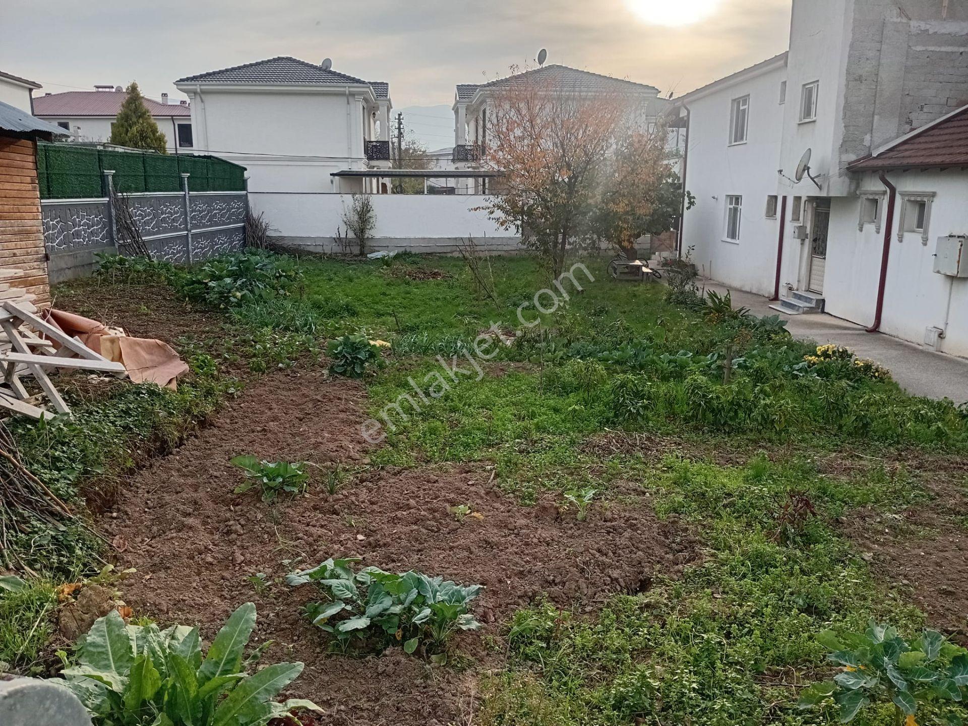 Akyazı Merkezde Satılık 488m² İmarlı Arsa - Görsel 19