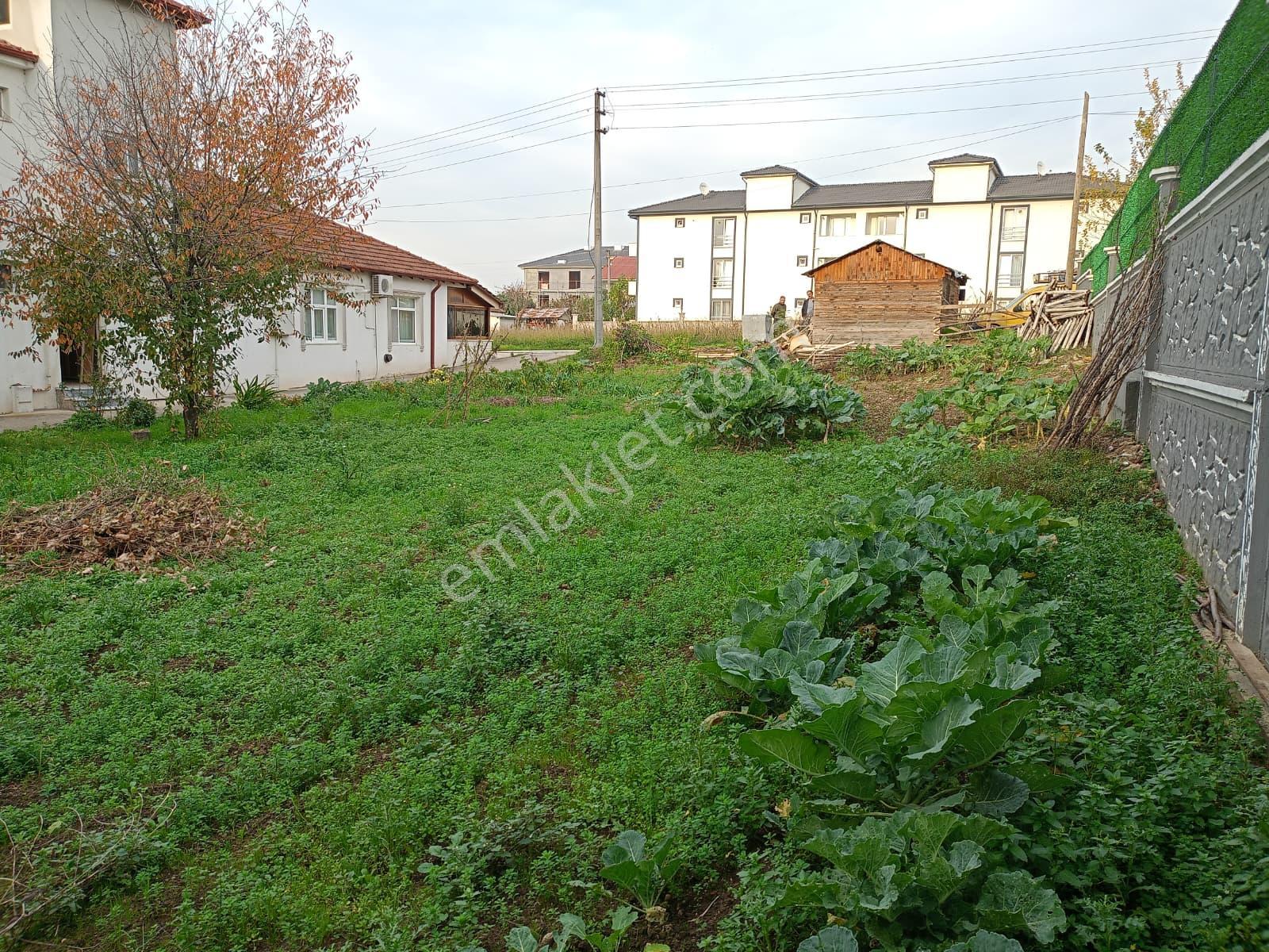 Akyazı Merkezde Satılık 488m² İmarlı Arsa - Görsel 5