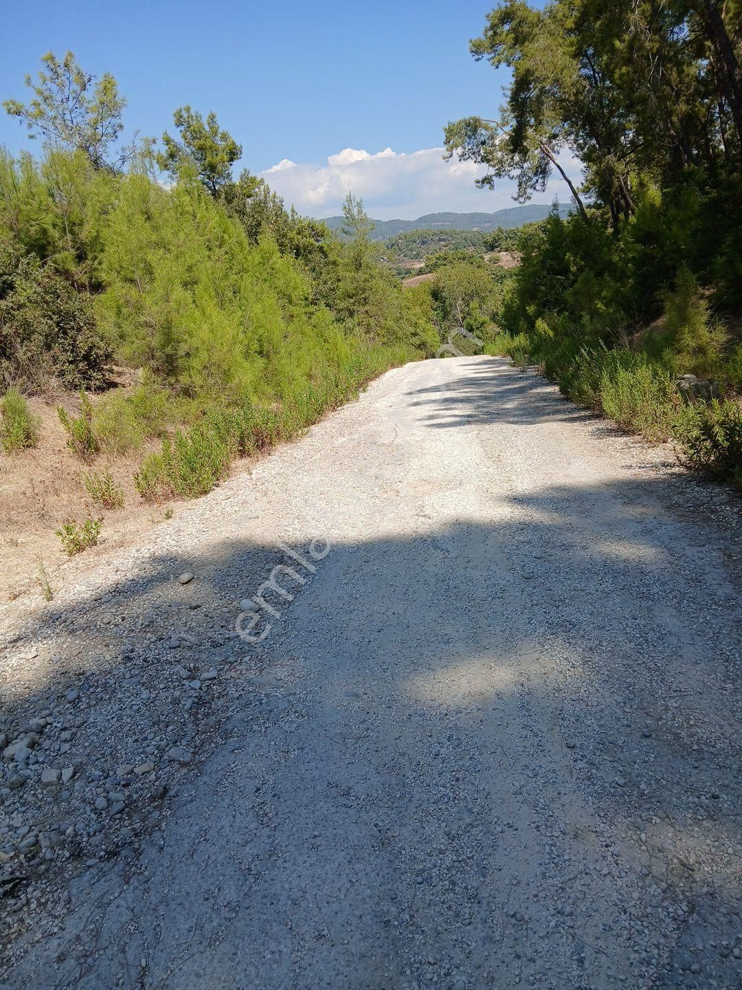 Manavgat Boz Tepede Köyün İçinde Kadastro Yola Cephe Çiftlik Villa Ev Yapmaya Uygun