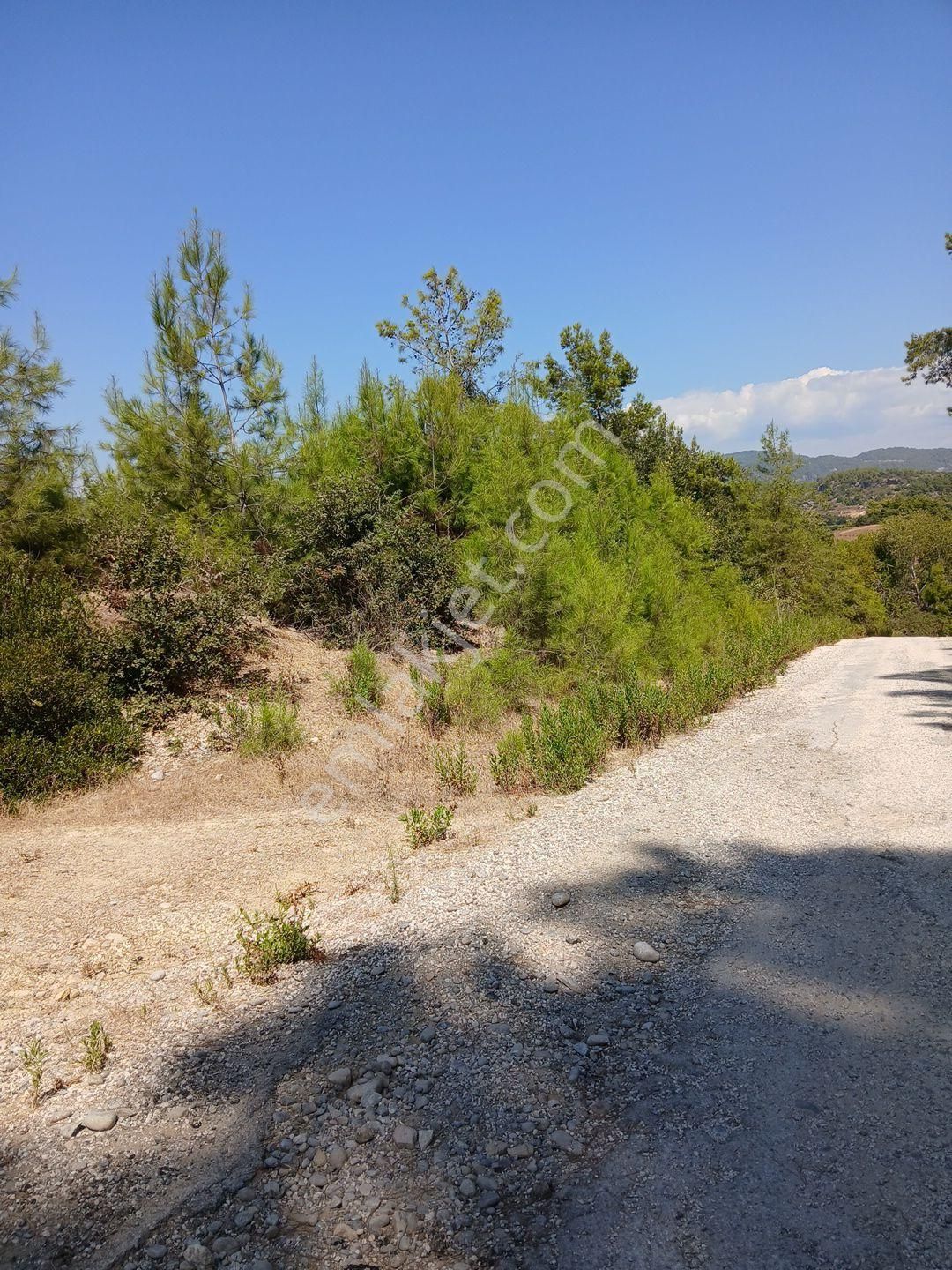 Manavgat Boztepede Nehire Sıfır Elektrik Su Yolu Olan Parsel