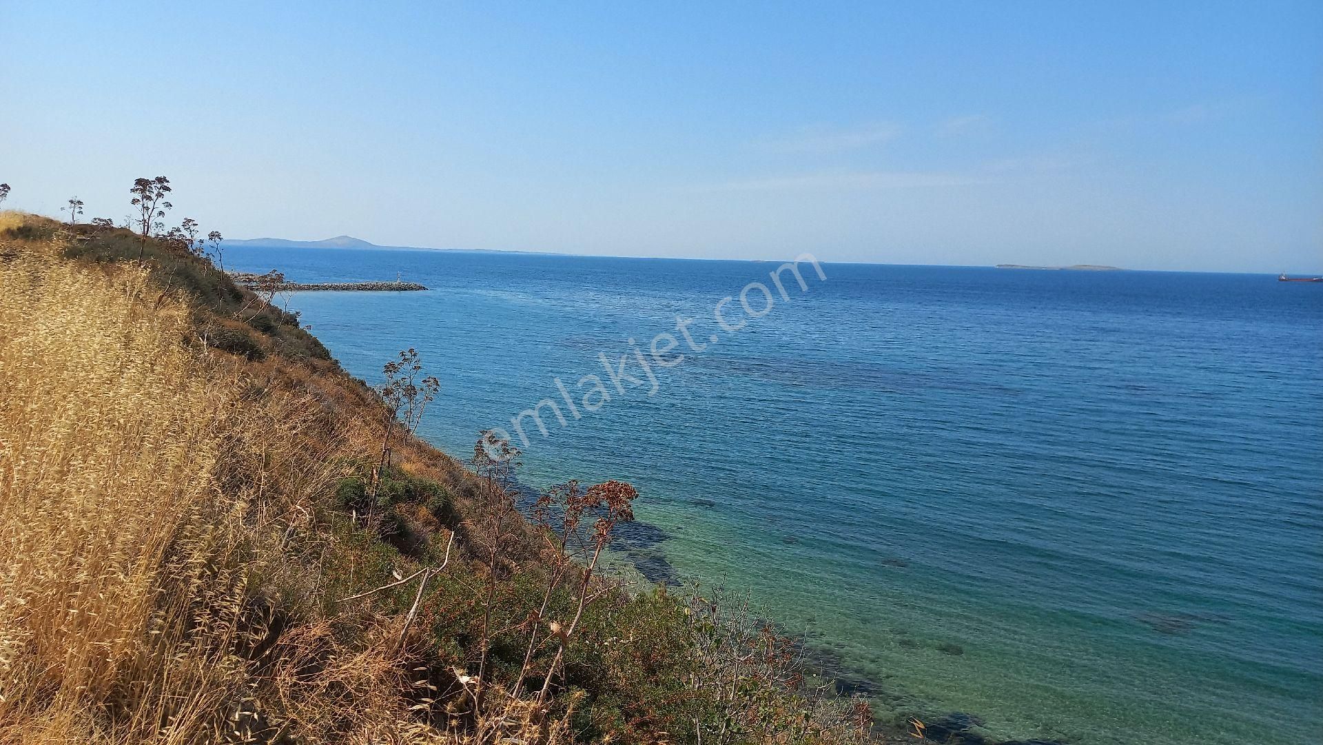 Denıze 50m Mesafede Satılık Tarla - Görsel 4