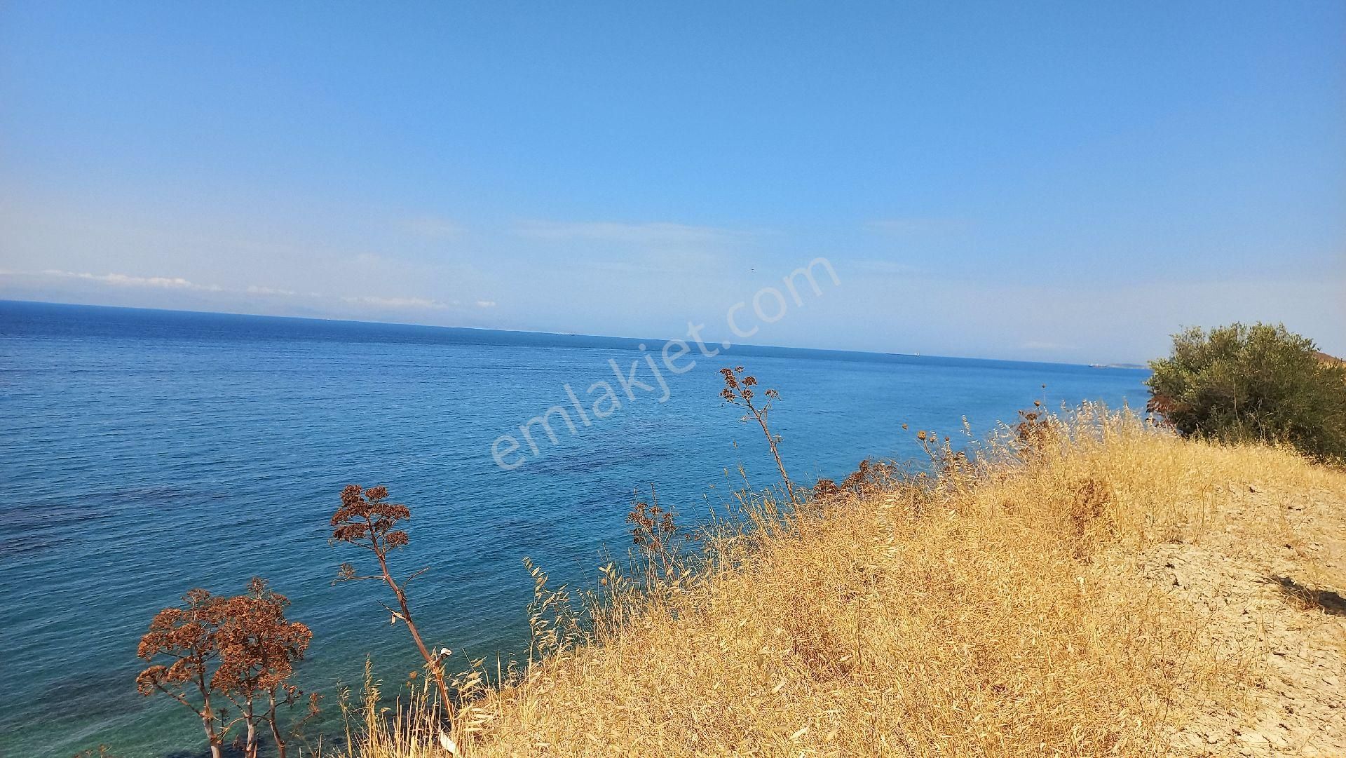 Denıze 50m Mesafede Satılık Tarla - Görsel 5