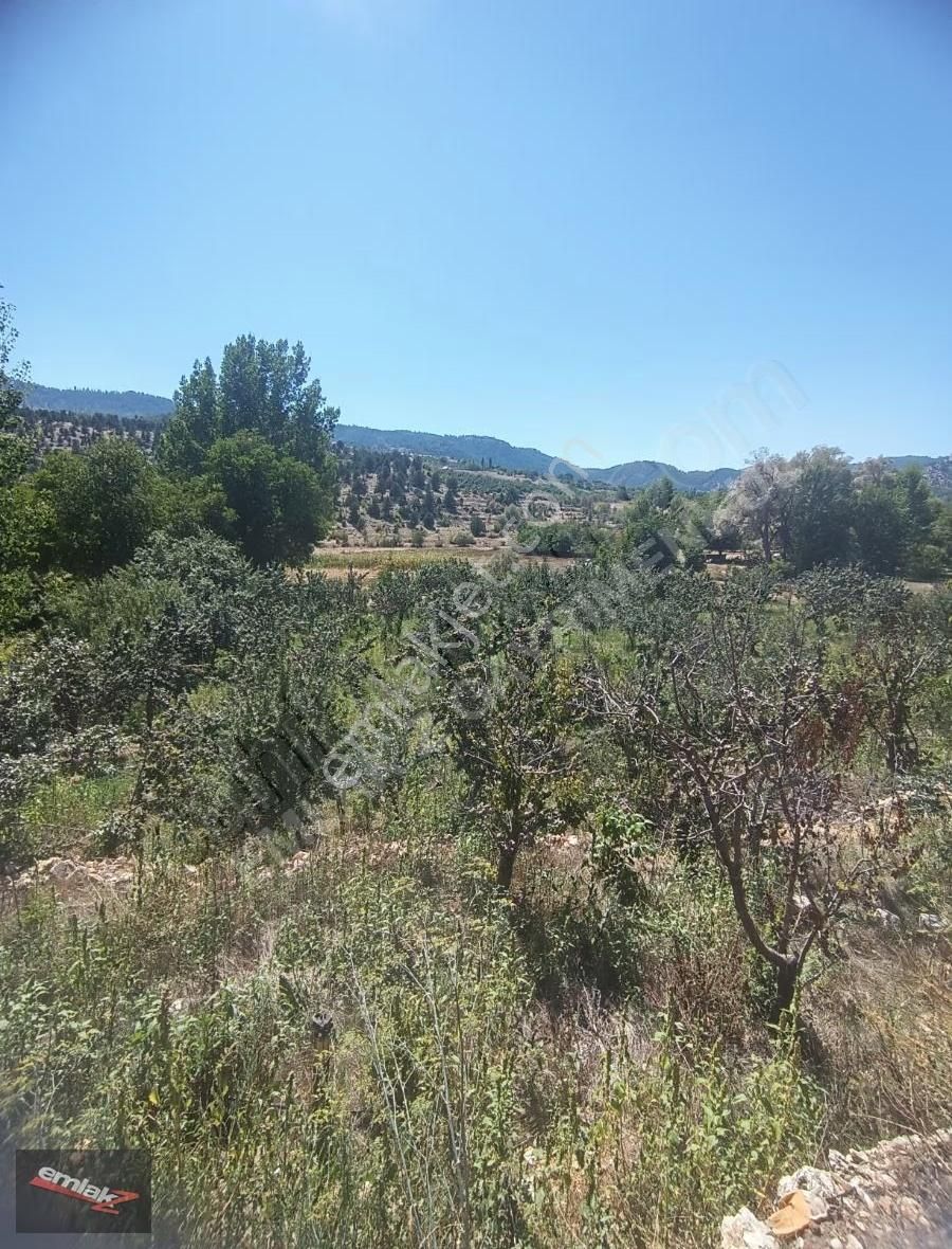 Toroslar Arslanköyde Köy İçinde Satılık Kelepir 3050 M2 Bahçe - Görsel 7