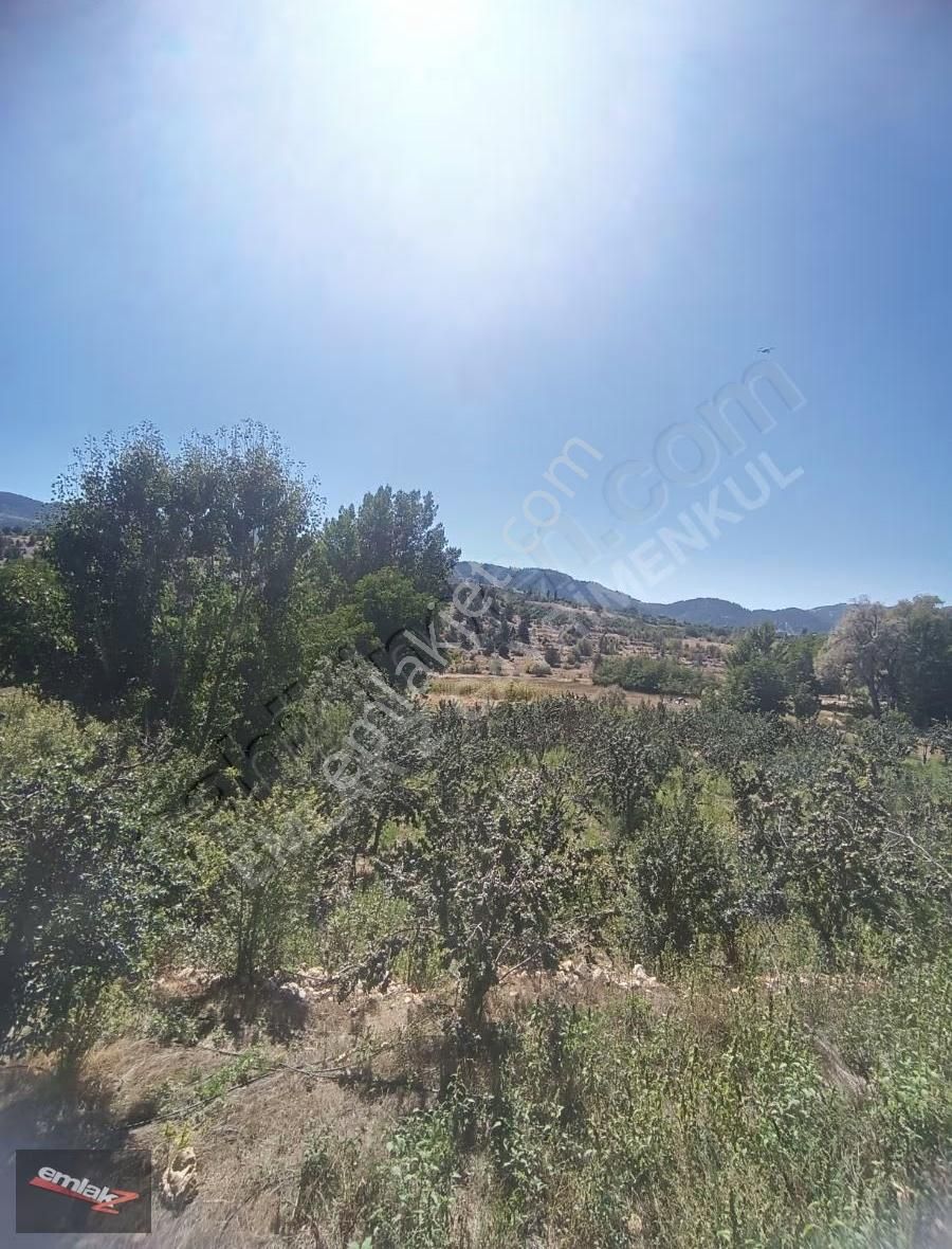 Toroslar Arslanköyde Köy İçinde Satılık Kelepir 3050 M2 Bahçe - Görsel 8