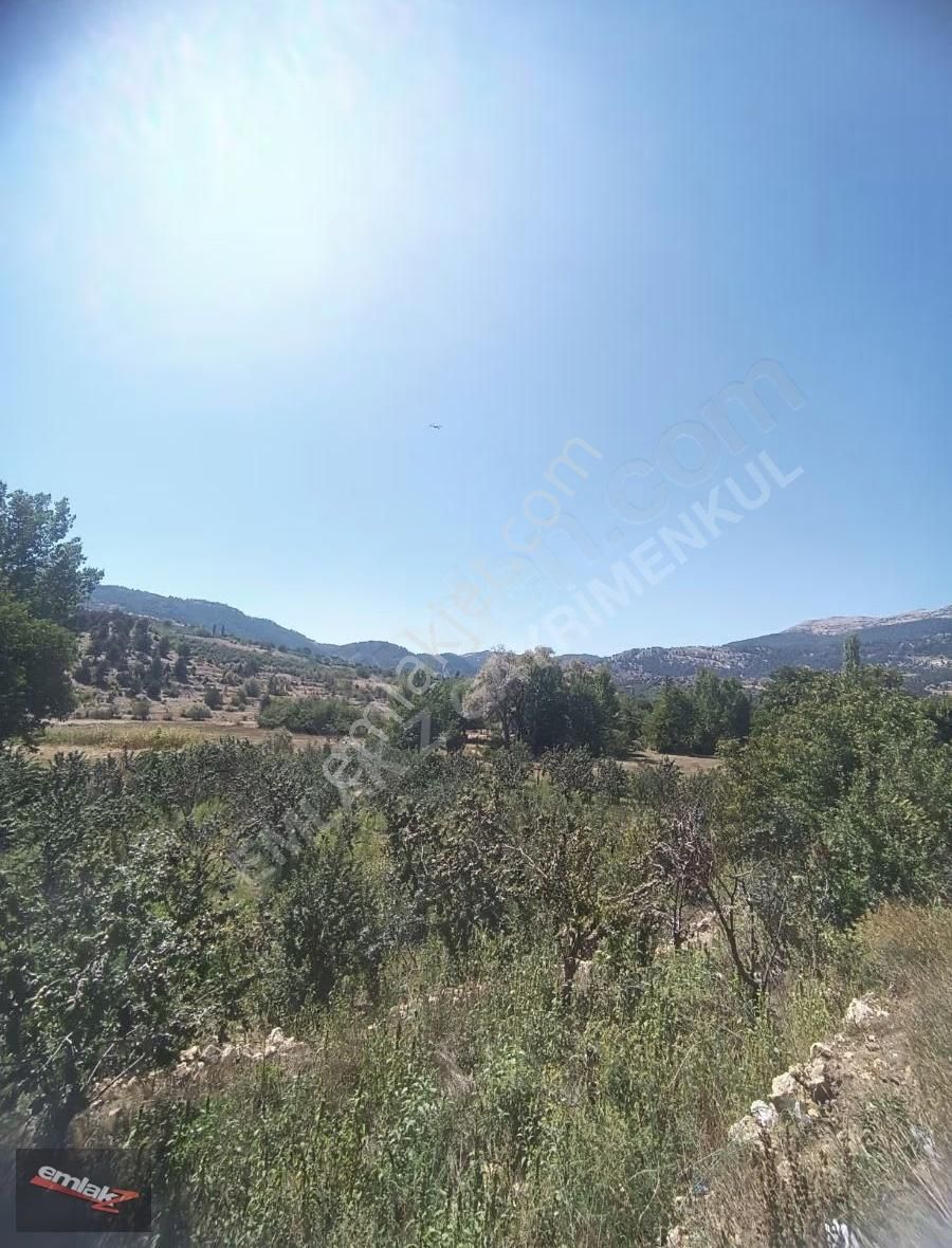 Toroslar Arslanköyde Köy İçinde Satılık Kelepir 3050 M2 Bahçe - Görsel 10