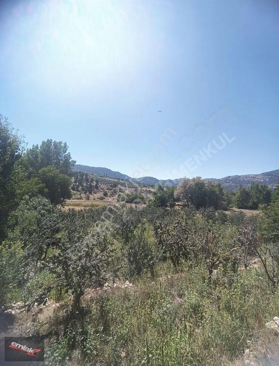 Toroslar Arslanköyde Köy İçinde Satılık Kelepir 3050 M2 Bahçe - Görsel 2
