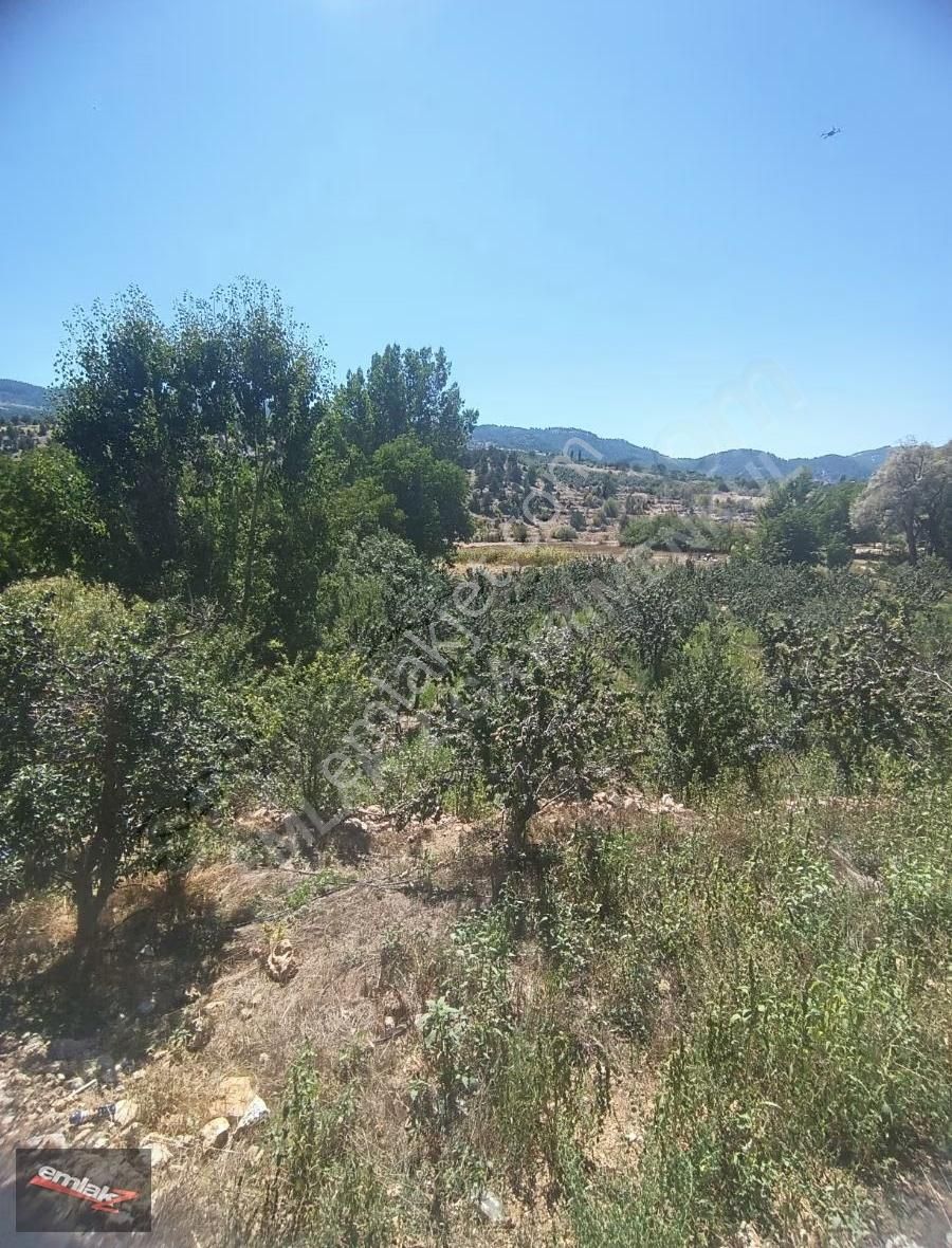 Toroslar Arslanköyde Köy İçinde Satılık Kelepir 3050 M2 Bahçe - Görsel 6