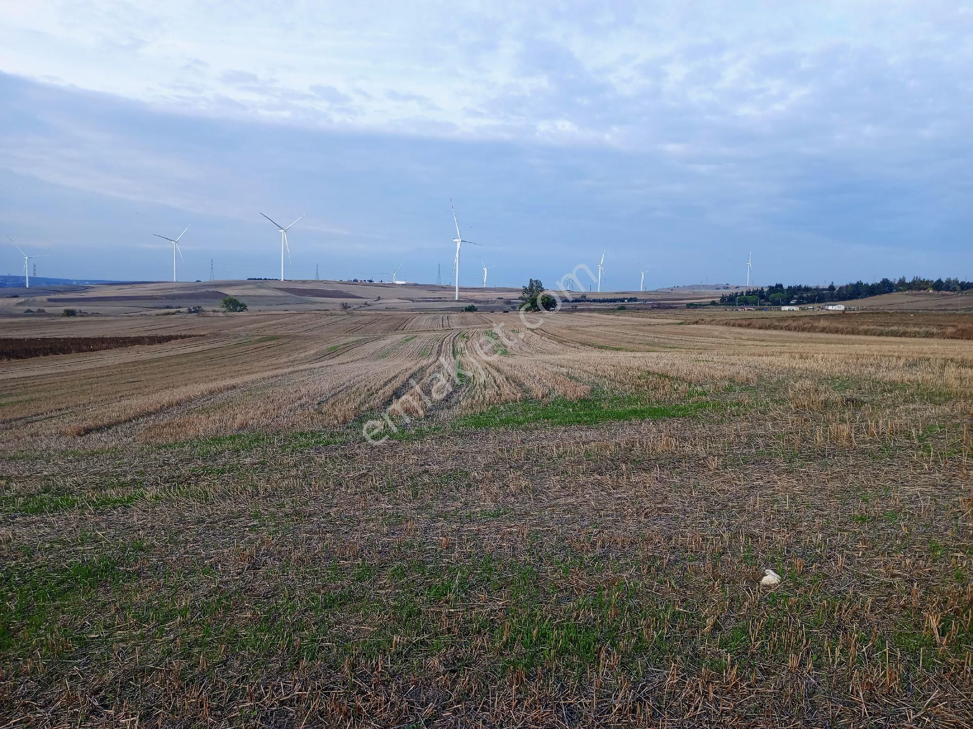 Satılık Hisseli Tapulu Tarla - Görsel 7