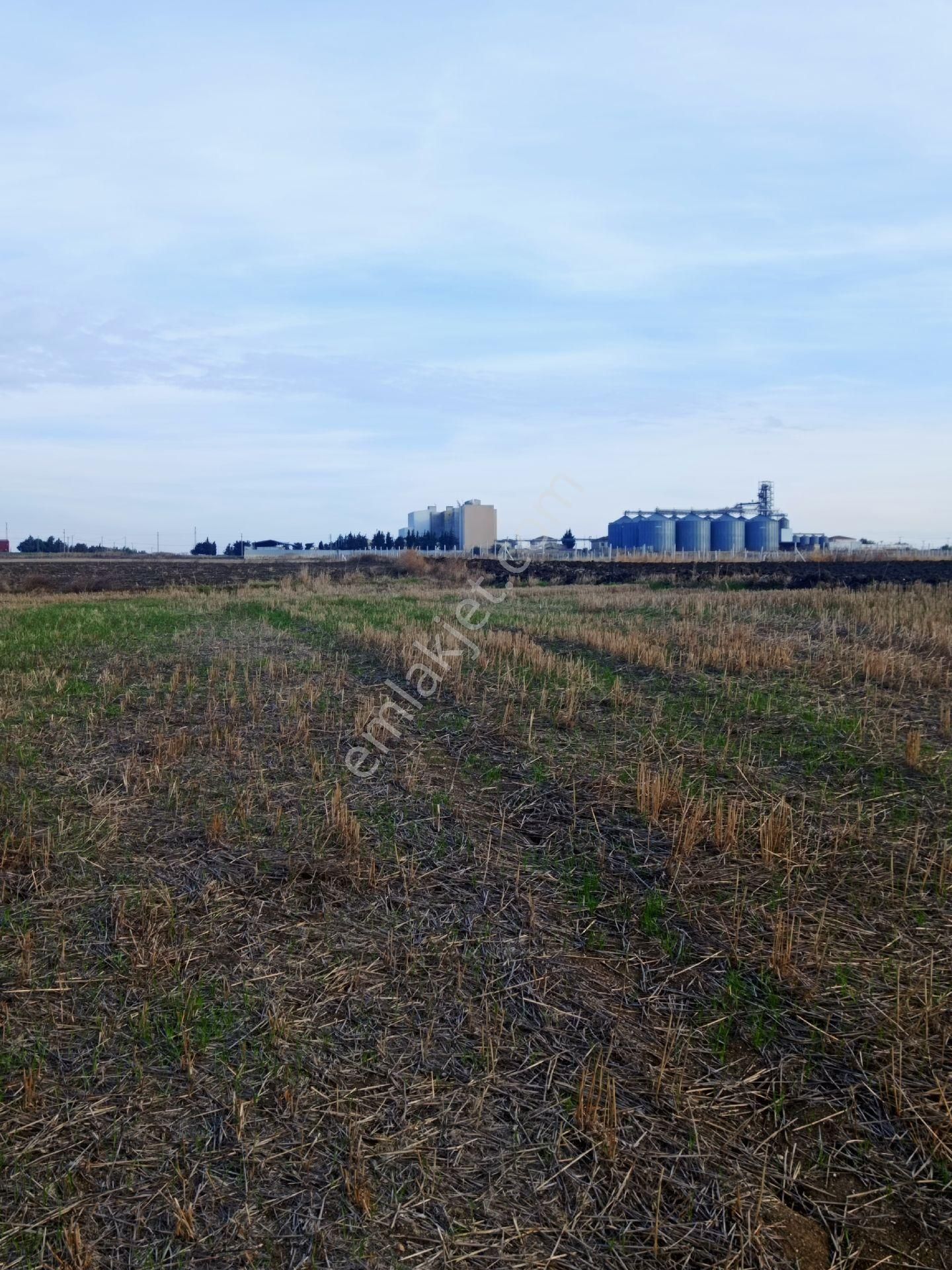 Satılık Hisseli Tapulu Tarla - Görsel 6