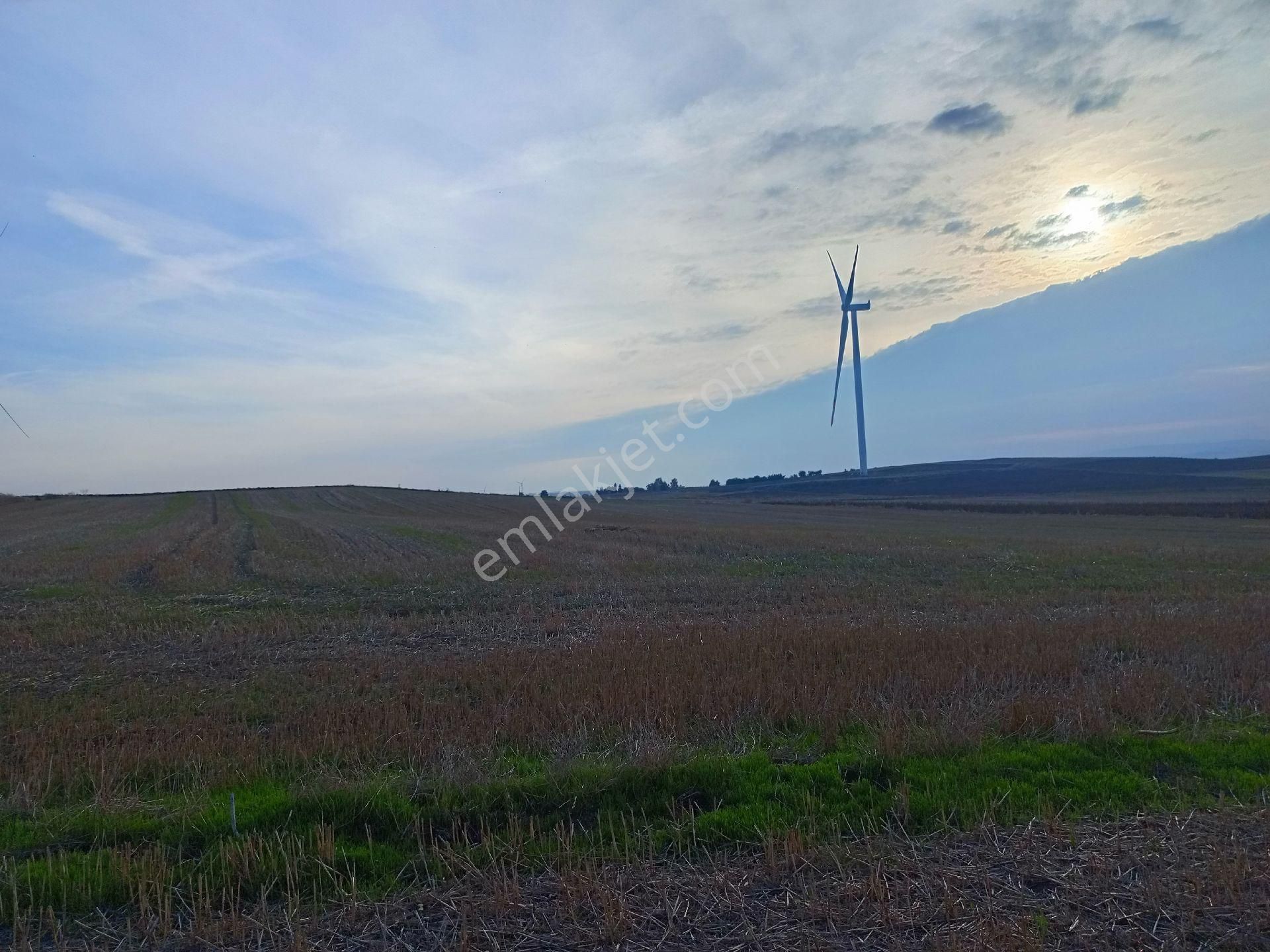 Satılık Hisseli Tapulu Tarla - Görsel 3