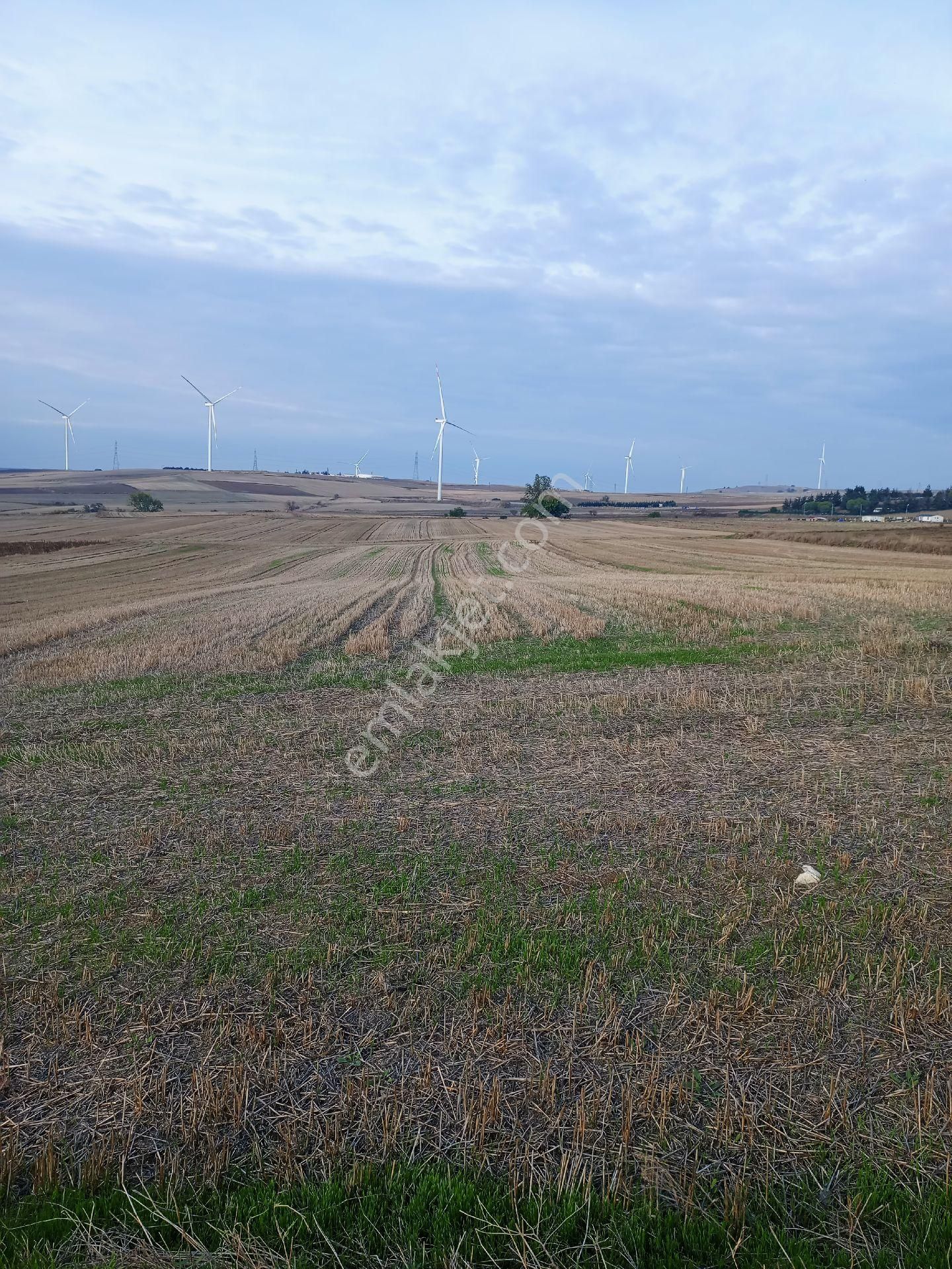 Satılık Hisseli Tapulu Tarla - Görsel 10