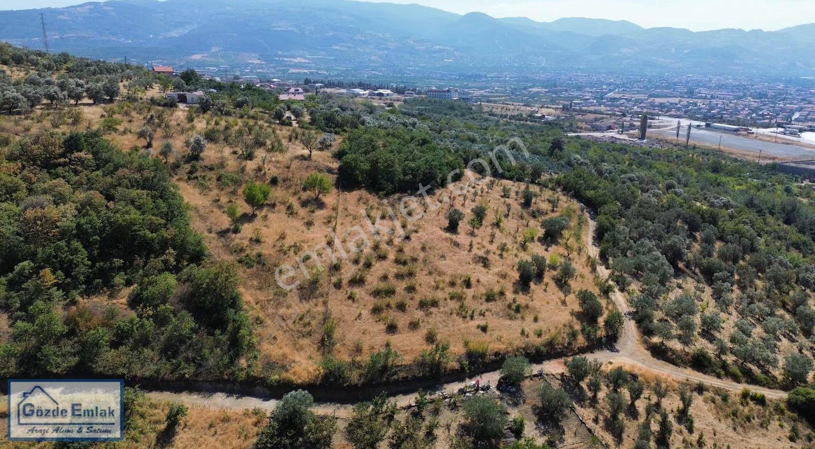 Geyve Epçeler Mah. Resmi Yola Cepheli 4.247m2 Arazi - Görsel 15
