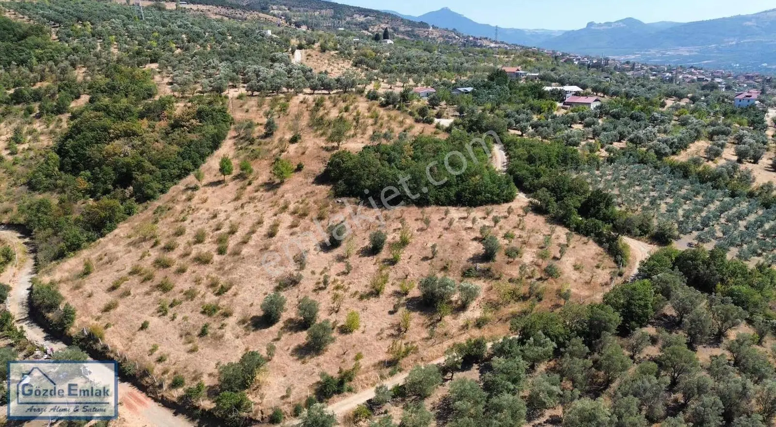 Geyve Epçeler Mah. Resmi Yola Cepheli 4.247m2 Arazi - Görsel 2