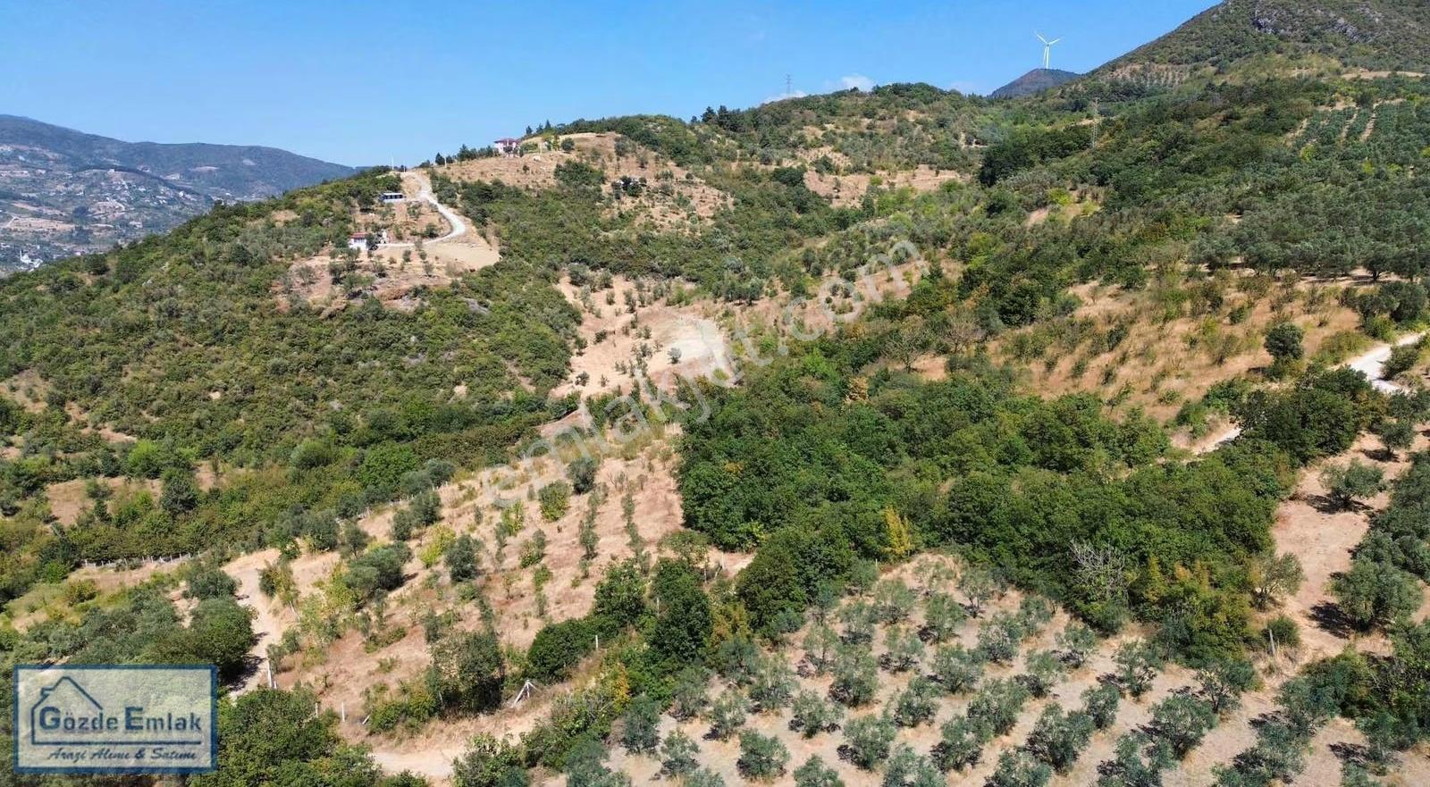 Geyve Epçeler Mah. Resmi Yola Cepheli 4.247m2 Arazi - Görsel 5
