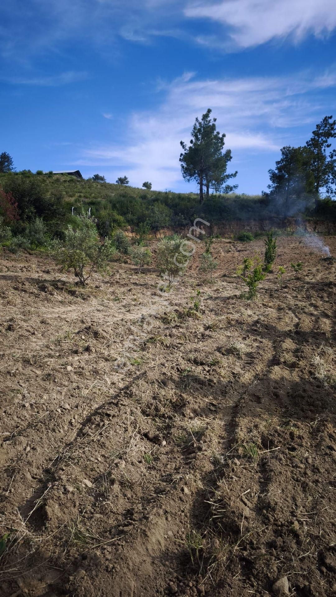 Manavgat Merkeze 15 Km. Yola Cephe Köy İçindeevyapmakiçin Köy İçi Arsa - Görsel 3