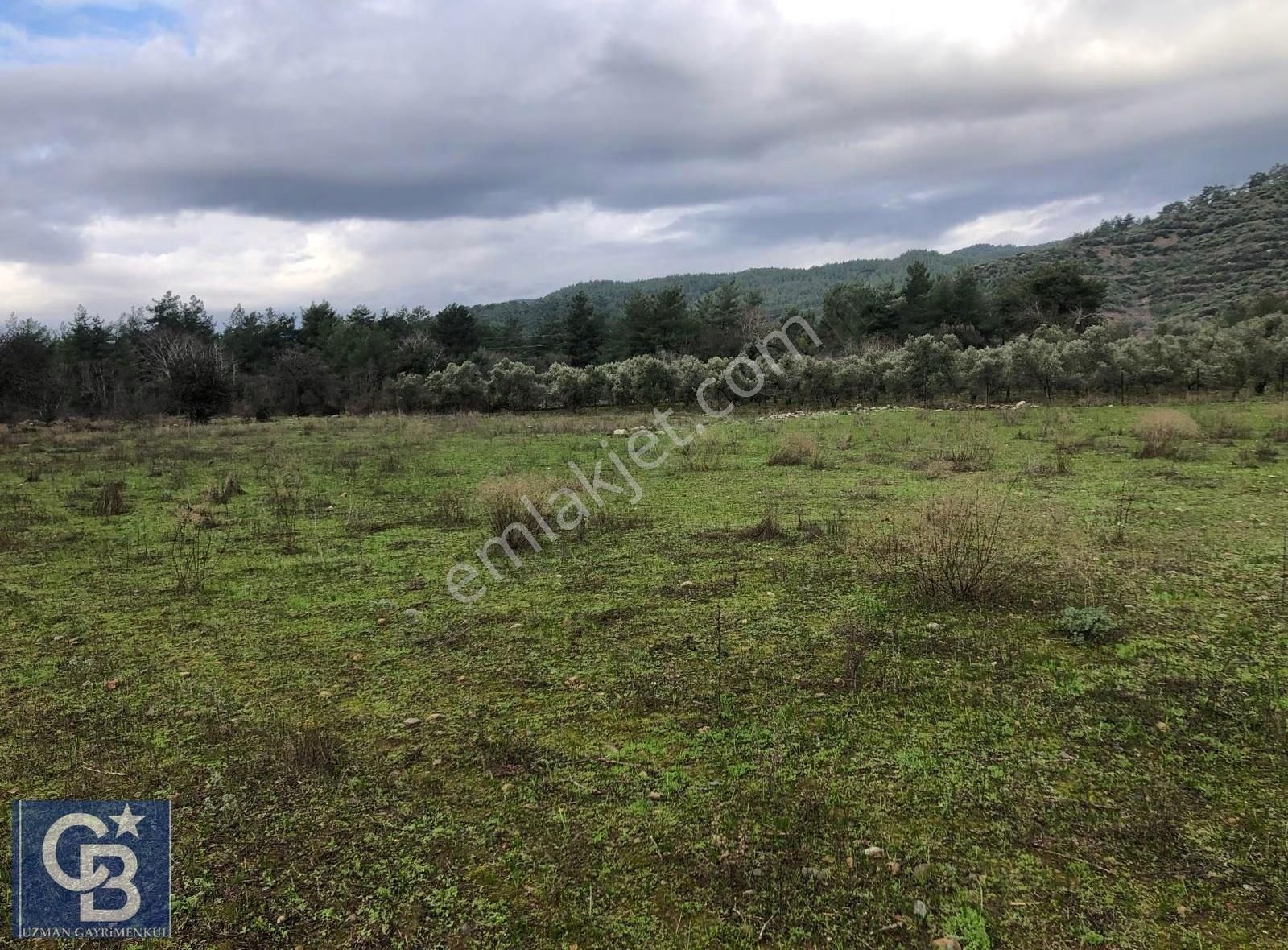 Milas Çam Mahallesinde Muhteşem Arazi