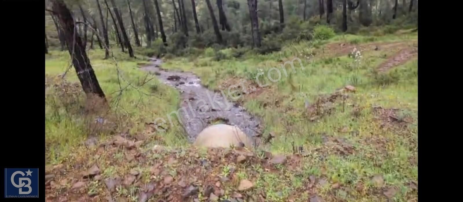 Değirmenyanı Ormana Cephe Yola Sıfır Müstakil Butik Arazi - Görsel 10