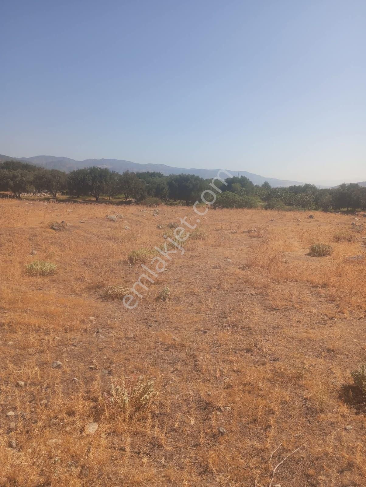📌🧿aydın Kuyucak Da Satılık 4 Parça Arsa - Görsel 5
