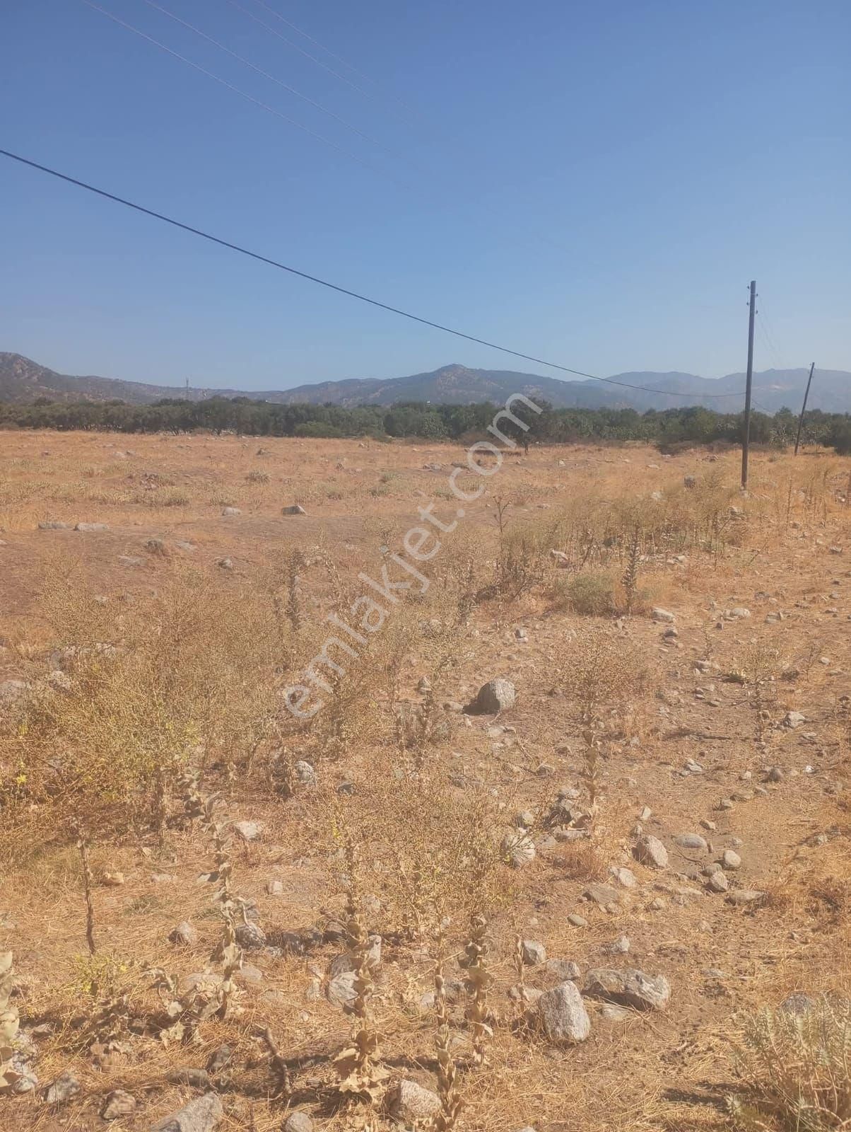 📌🧿aydın Kuyucak Da Satılık 4 Parça Arsa - Görsel 7