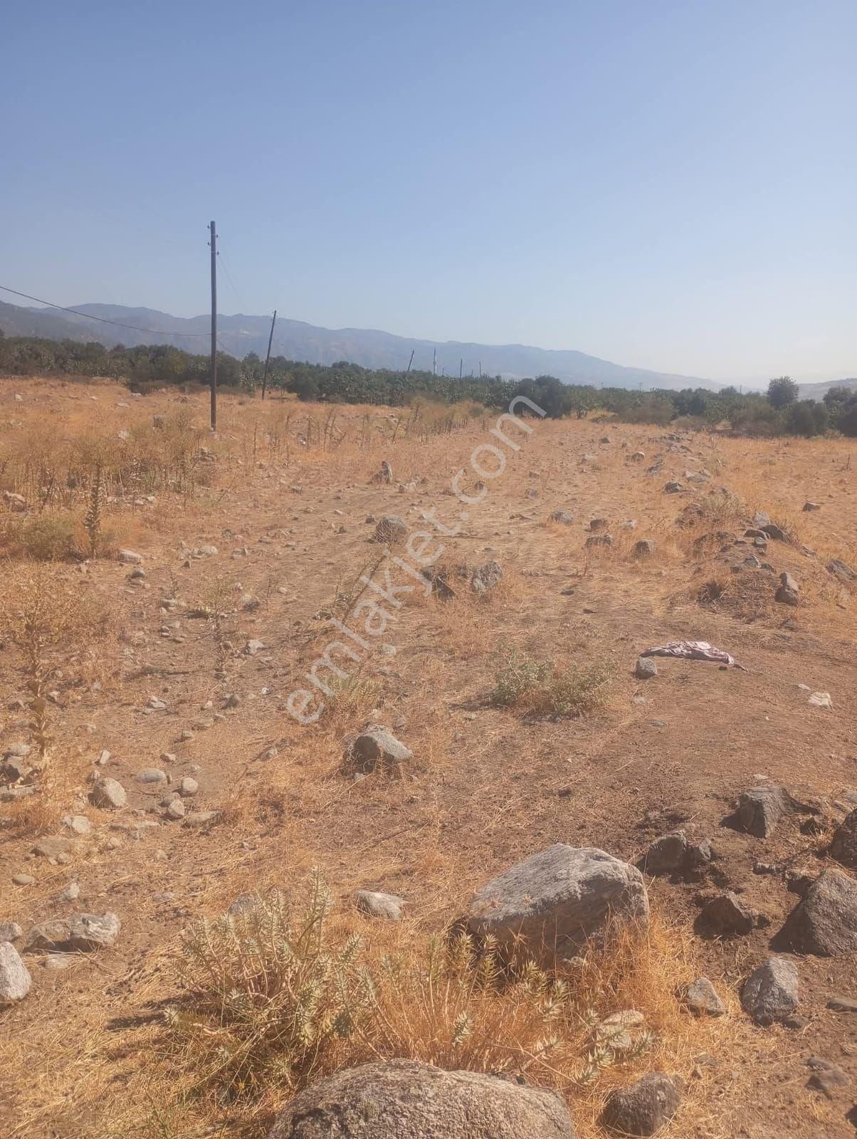 📌🧿aydın Kuyucak Da Satılık 4 Parça Arsa - Görsel 2