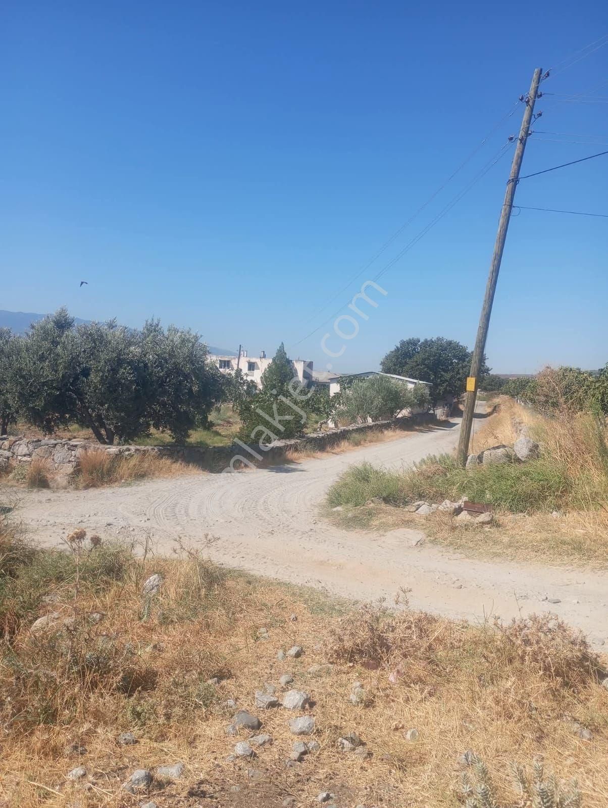 📌🧿aydın Kuyucak Da Satılık 4 Parça Arsa - Görsel 4