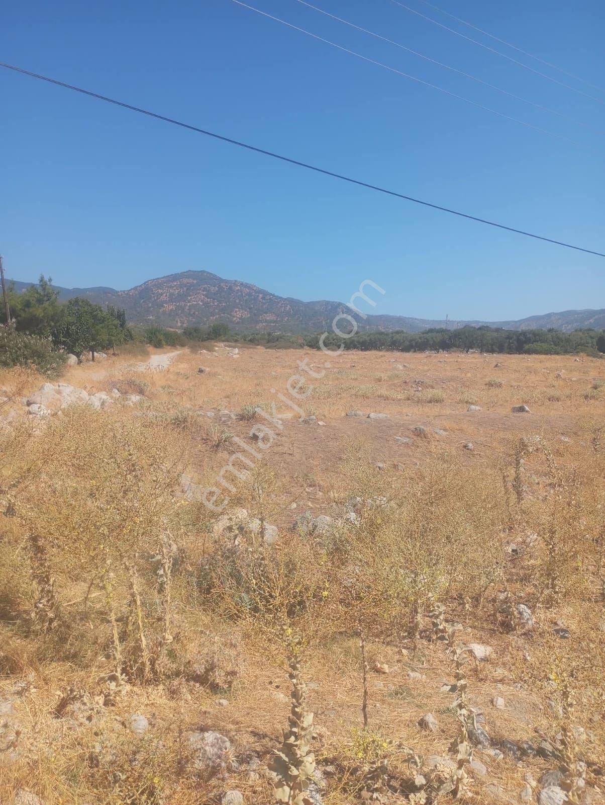 📌🧿aydın Kuyucak Da Satılık 4 Parça Arsa - Görsel 6