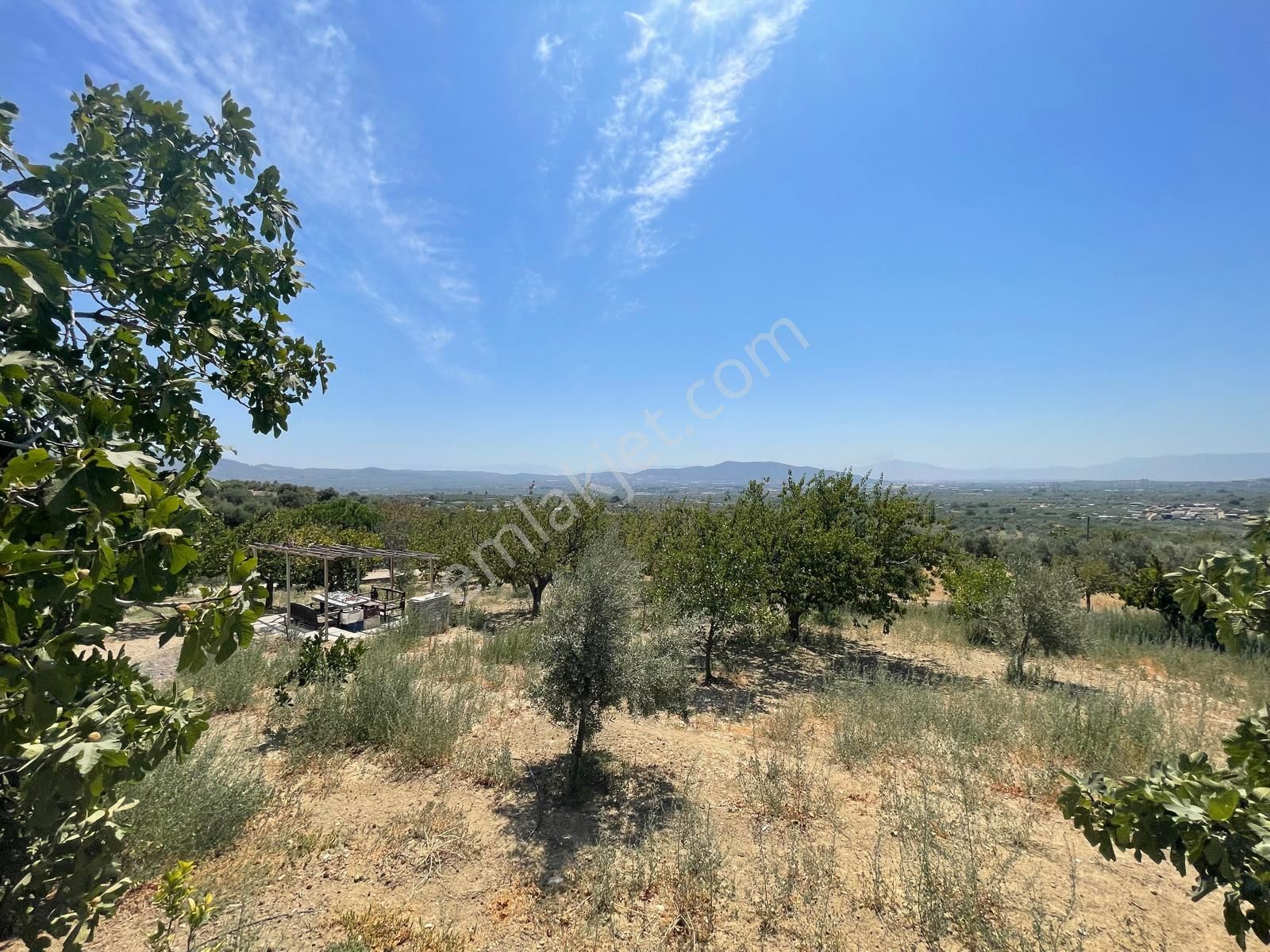 İzmir Torbalı Saipler De Satılık Çiftlik - Görsel 8