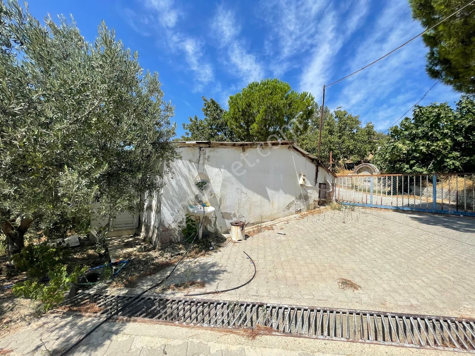 İzmir Torbalı Saipler De Satılık Çiftlik - Görsel 15