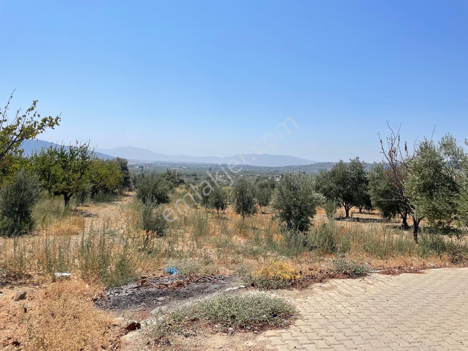 İzmir Torbalı Saipler De Satılık Çiftlik - Görsel 13