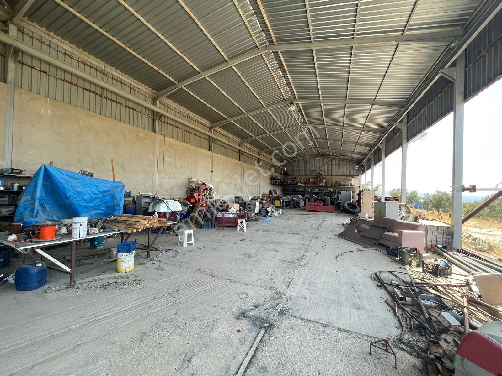 İzmir Torbalı Saipler De Satılık Çiftlik - Görsel 16