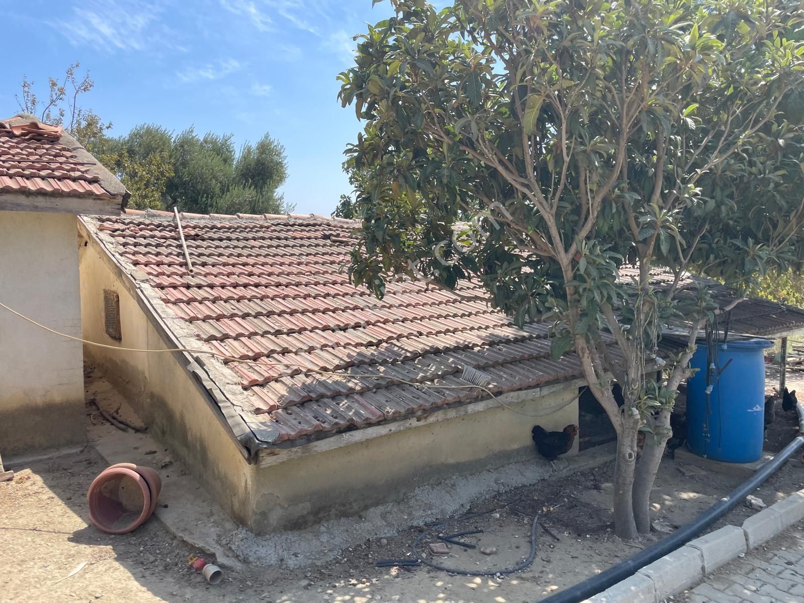 İzmir Torbalı Saipler De Satılık Çiftlik - Görsel 20