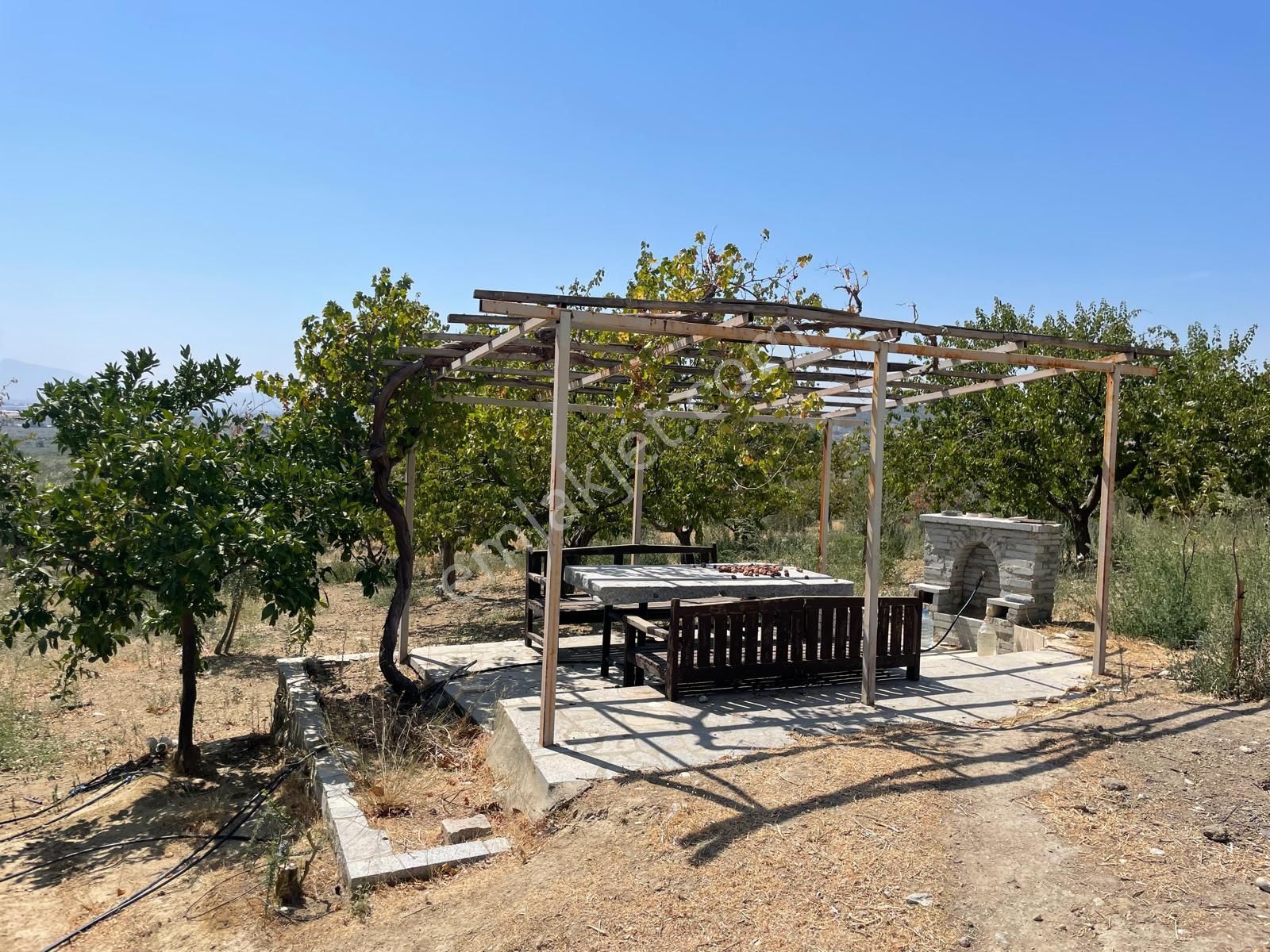 İzmir Torbalı Saipler De Satılık Çiftlik - Görsel 19