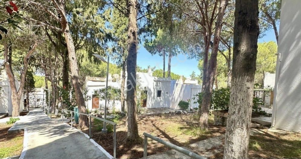 Bodrum Turgutreis Soytaş – 1+1 Dubleks Tapulu Devremülk, Özel Plaj & Havuzlu - Görsel 30