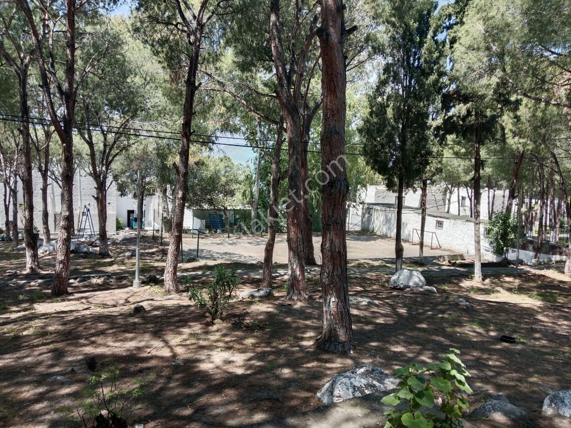 Bodrum Turgutreis Soytaş – 1+1 Dubleks Tapulu Devremülk, Özel Plaj & Havuzlu - Görsel 23