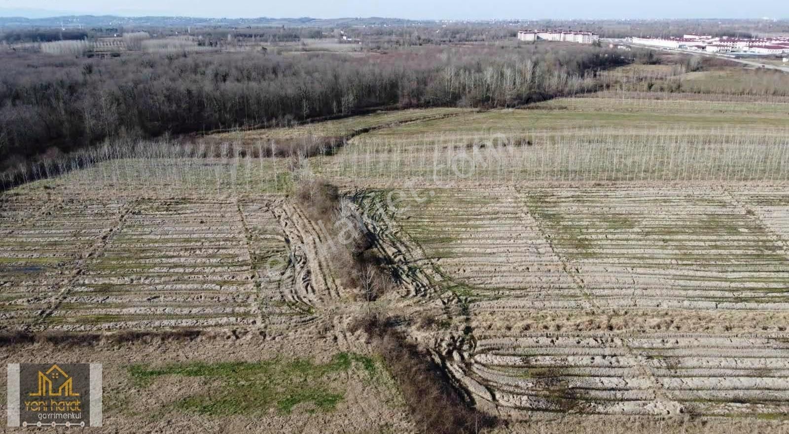 Salıpazarı Çarşamba Yolu-yeni Cezaevi Yakını Acil Satılık Tarla - Görsel 10