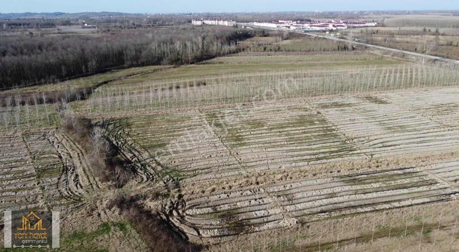 Salıpazarı Çarşamba Yolu-yeni Cezaevi Yakını Acil Satılık Tarla - Görsel 8