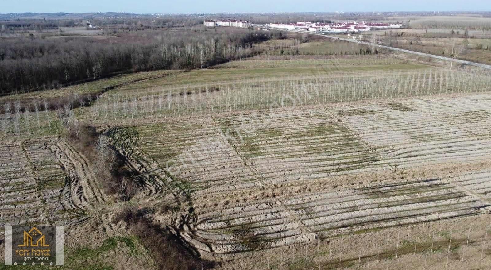 Salıpazarı Çarşamba Yolu-yeni Cezaevi Yakını Acil Satılık Tarla